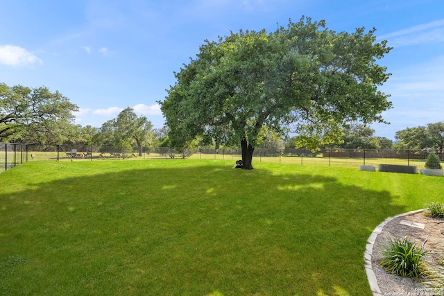 744 E Rio Azule, Pipe Creek, TX 78063 - view of yard