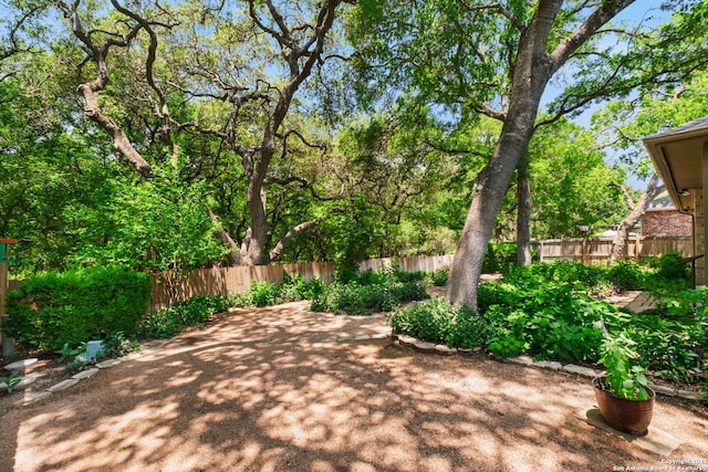 2430 Burning Trl, San Antonio, TX 78232 - view of patio / terrace