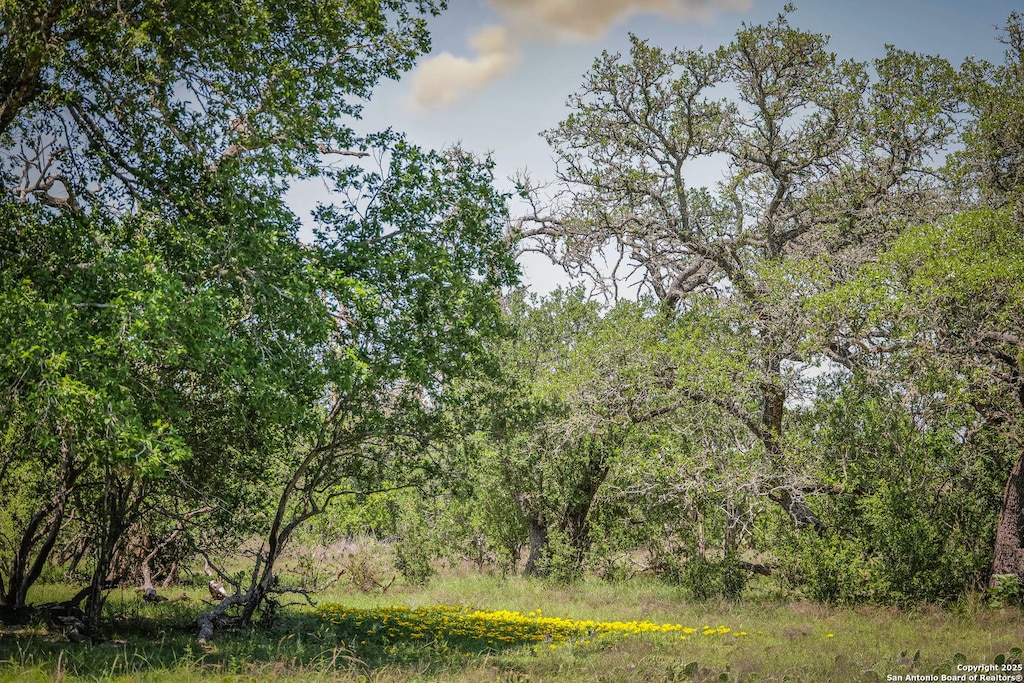 TBD Rm 473, Boerne, TX 78006