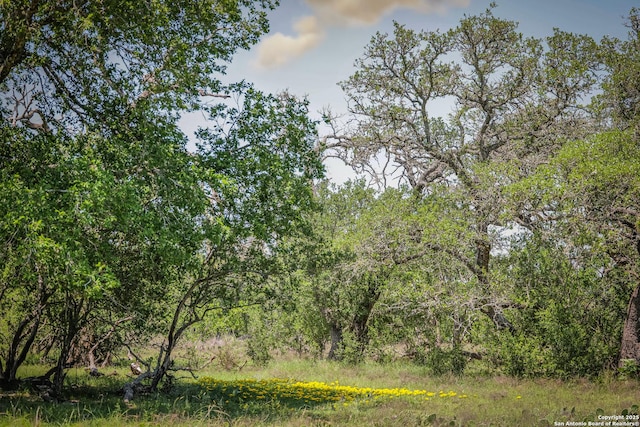TBD Rm 473, Boerne, TX 78006