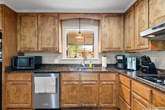 1373 County Road 373, Uvalde, TX 78801 - kitchen featuring stainless steel appliances, range hood, brown cabinetry, and dark stone countertops