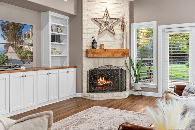 608 Kendall Pkwy, Boerne, TX 78015 - living room featuring wood finished floors and a fireplace