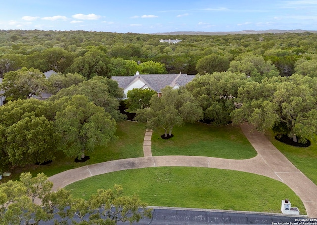 608 Kendall Pkwy, Boerne, TX 78015 - bird's eye view of a forest
