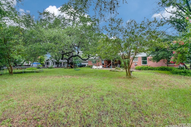 1332 Grey Oak Dr, San Antonio, TX 78213 - view of green lawn
