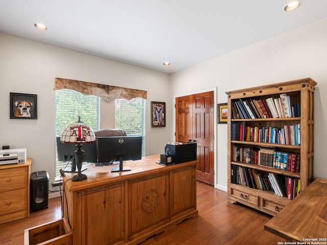 1131 Meadow Stream Rd, Spring Branch, TX 78070 - office area featuring wood finished floors and recessed lighting