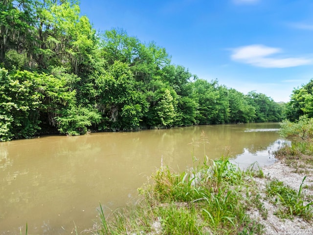 1131 Meadow Stream Rd, Spring Branch, TX 78070 - water view featuring a heavily wooded area