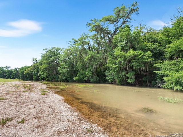 1131 Meadow Stream Rd, Spring Branch, TX 78070 - view of road featuring a view of trees and a water view