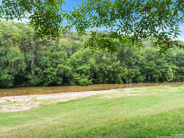 1131 Meadow Stream Rd, Spring Branch, TX 78070 - view of green lawn with a water view