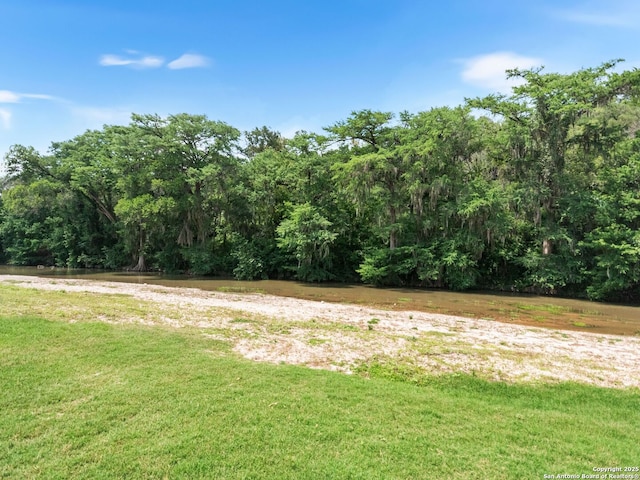 1131 Meadow Stream Rd, Spring Branch, TX 78070 - view of green lawn featuring a forest view