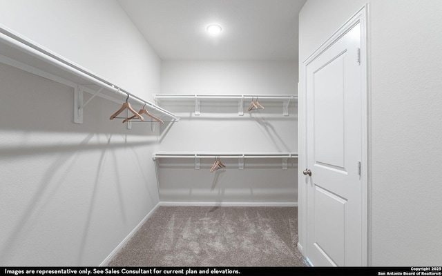 14704 Lower Holw, San Antonio, TX 78252 - walk in closet with carpet floors