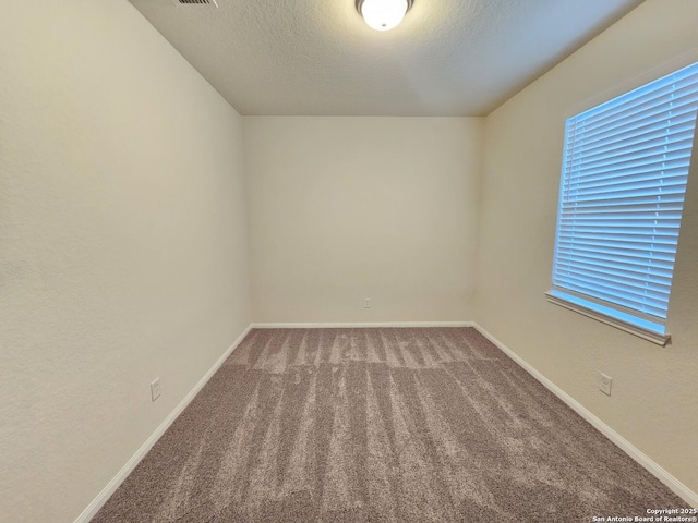 6723 Luckey Pond, San Antonio, TX 78252 - empty room with carpet and a textured ceiling