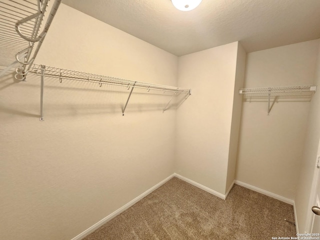 6723 Luckey Pond, San Antonio, TX 78252 - spacious closet featuring carpet flooring