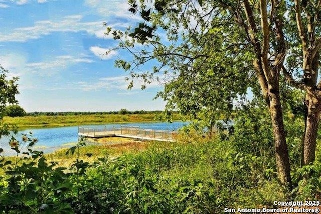 6723 Luckey Pond, San Antonio, TX 78252 - water view