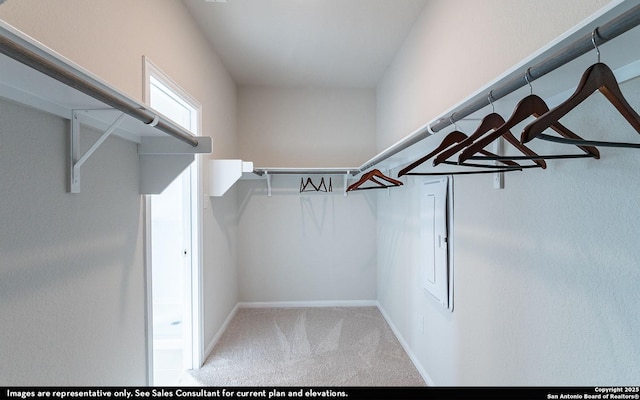 14732 Sycamore Xing, San Antonio, TX 78252 - walk in closet with carpet floors