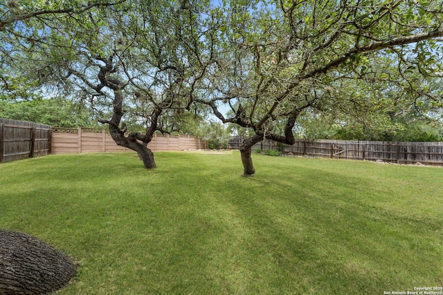 120 Red Bud, Boerne, TX 78006 - view of fenced backyard