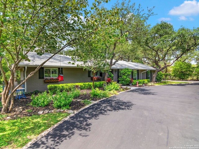 132 Wagon Trail Rd, Shavano Park, TX 78231 - single story home featuring driveway and brick siding