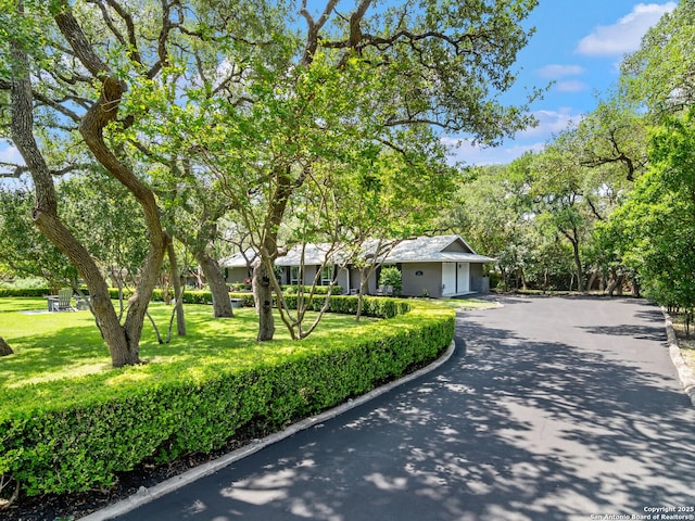 132 Wagon Trail Rd, Shavano Park, TX 78231 - view of front of house with a front lawn and asphalt driveway