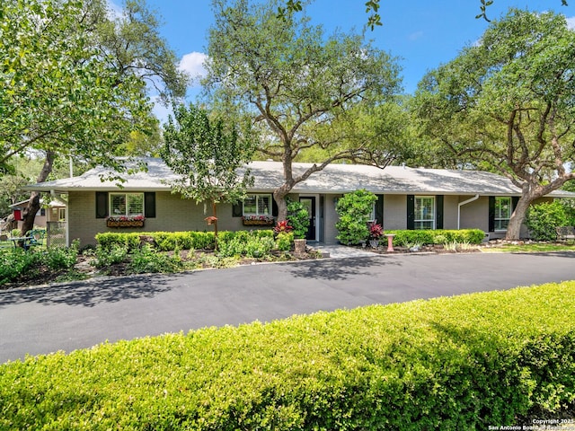 132 Wagon Trail Rd, Shavano Park, TX 78231 - ranch-style house with brick siding and driveway