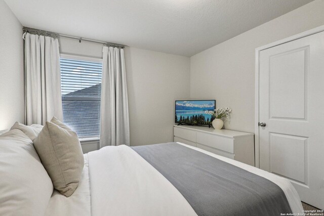 183 Amethyst Woodstar, San Antonio, TX 78253 - view of bedroom