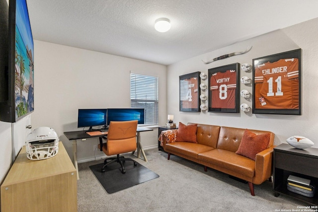 183 Amethyst Woodstar, San Antonio, TX 78253 - office with carpet and a textured ceiling