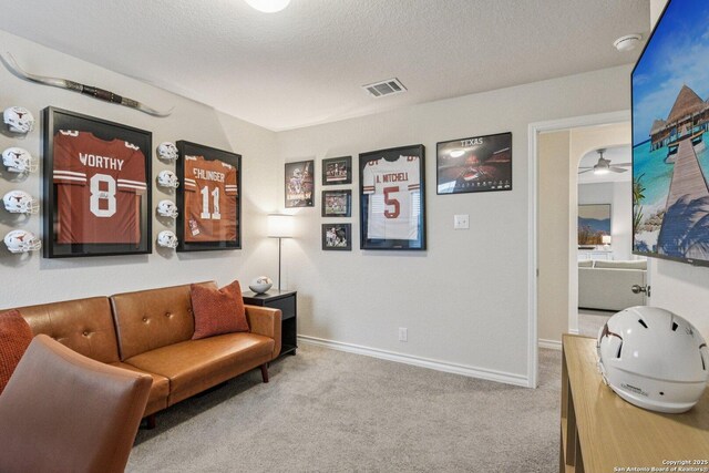 183 Amethyst Woodstar, San Antonio, TX 78253 - living area featuring carpet and a textured ceiling