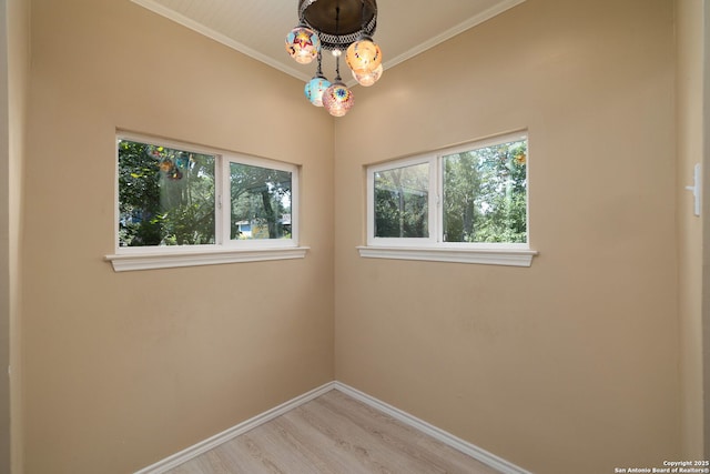 10567 Rocking M, Helotes, TX 78023 - spare room featuring light wood-style flooring and crown molding