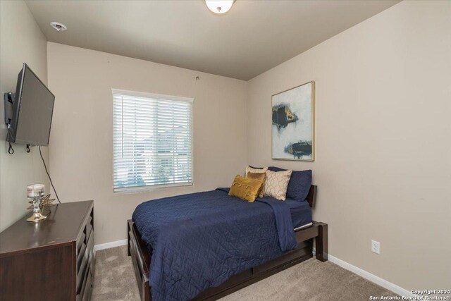 12904 Liam Ct, Saint Hedwig, TX 78152 - bedroom with carpet floors and baseboards