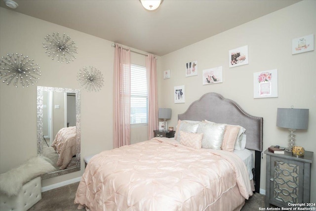 12904 Liam Ct, Saint Hedwig, TX 78152 - carpeted bedroom with baseboards