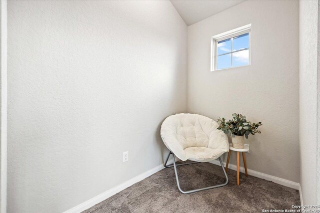 3016 Muscat, Schertz, TX 78154 - sitting room featuring carpet and baseboards