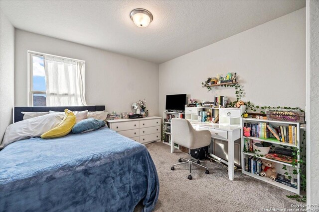 3016 Muscat, Schertz, TX 78154 - bedroom with carpet and a textured ceiling