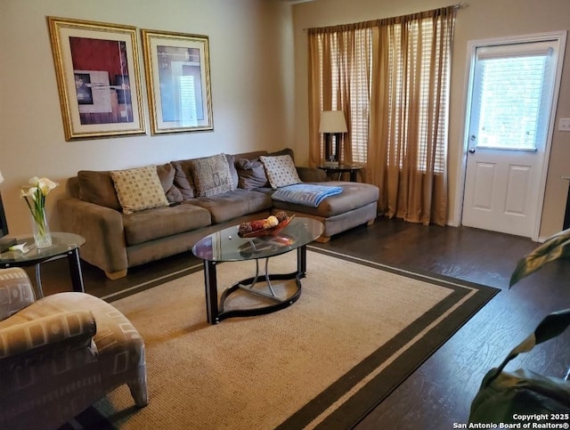 15923 Silver Rose, Selma, TX 78154 - living room featuring wood finished floors