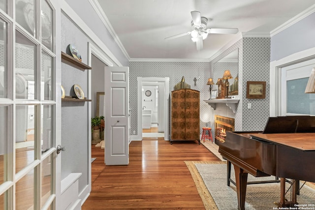 2 Fm 289, Comfort, TX 78013 - office area featuring crown molding, wood finished floors, ceiling fan, and a glass covered fireplace