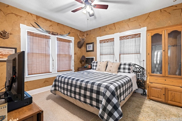 2 Fm 289, Comfort, TX 78013 - bedroom featuring multiple windows and ceiling fan