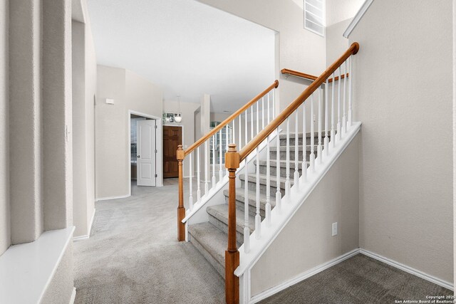 4481 Owl Crk, Schertz, TX 78154 - stairway with carpet
