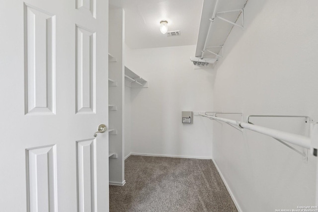 23613 Grayling Ln, San Antonio, TX 78259 - spacious closet featuring carpet flooring