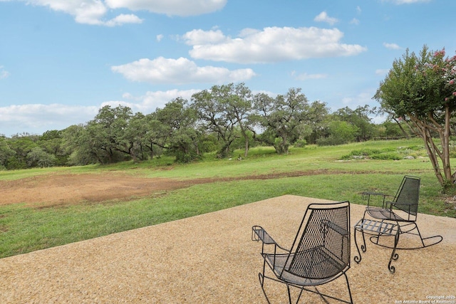 23613 Grayling Ln, San Antonio, TX 78259 - view of grassy yard