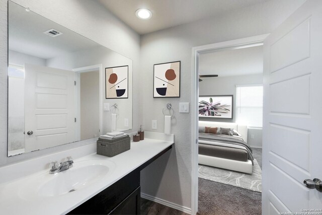 12810 Olson Pt, San Antonio, TX 78252 - bathroom featuring vanity and ensuite bathroom