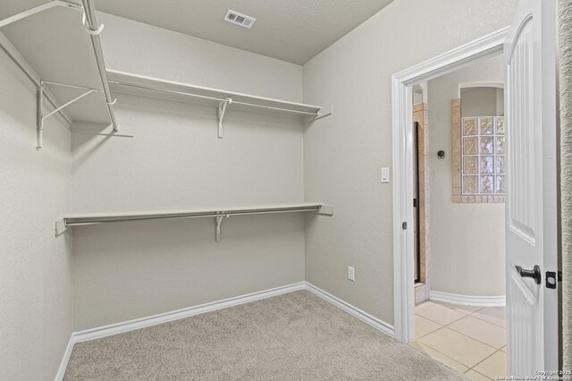 8503 Kallison Arbor, San Antonio, TX 78254 - view of spacious closet
