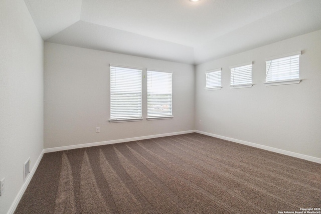1619 Vista View Dr, Pleasanton, TX 78064 - unfurnished room featuring dark colored carpet and lofted ceiling