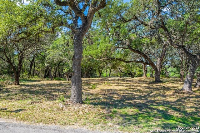 933 Parkview Loop, Canyon Lake, TX 78133