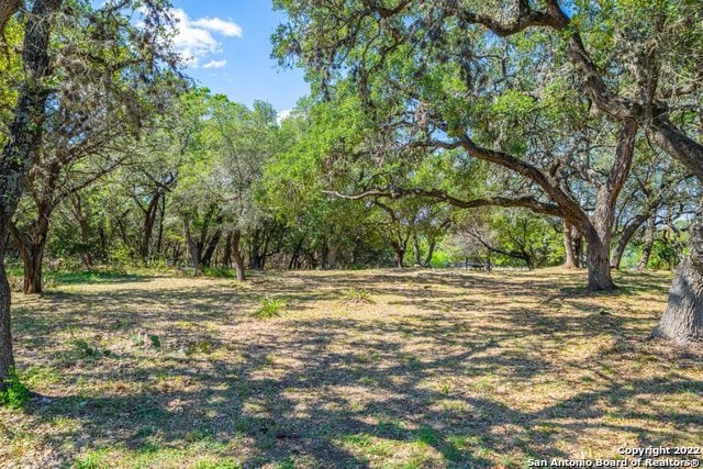 933 Parkview Loop, Canyon Lake, TX 78133