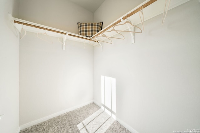 1562 Vista View Dr, Pleasanton, TX 78064 - walk in closet with carpet flooring