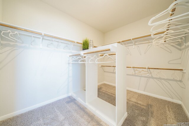 1562 Vista View Dr, Pleasanton, TX 78064 - spacious closet with carpet
