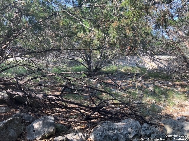 1062 Winding Creek Trl, Spring Branch, TX 78070