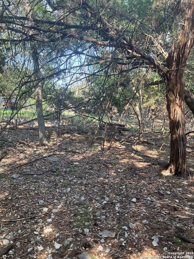 1062 Winding Creek Trl, Spring Branch, TX 78070