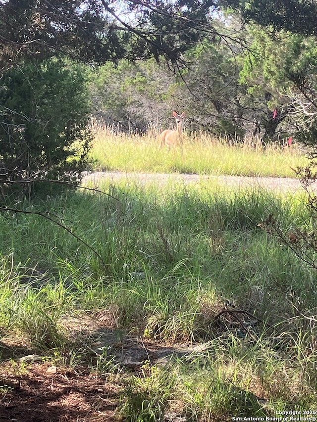 1062 Winding Creek Trl, Spring Branch, TX 78070