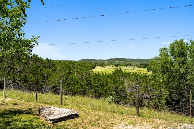 13132 State Highway 16, Medina, TX 78055 - view of yard