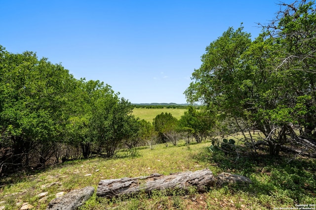 13132 State Highway 16, Medina, TX 78055 - view of local wilderness featuring rural landscape