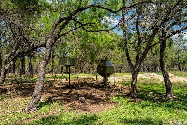 13132 State Highway 16, Medina, TX 78055 - view of yard