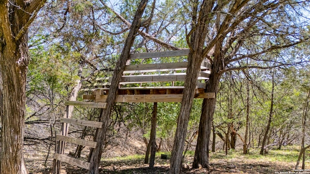 13132 State Highway 16, Medina, TX 78055 - exterior view of a gate